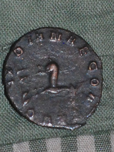 CSC_3395.JPG