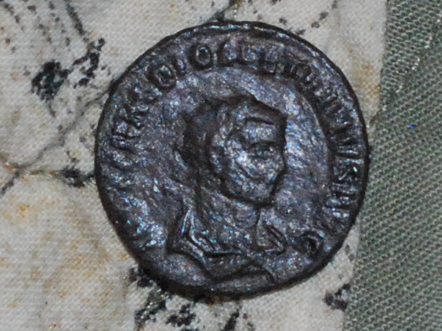 CSC_3397.JPG