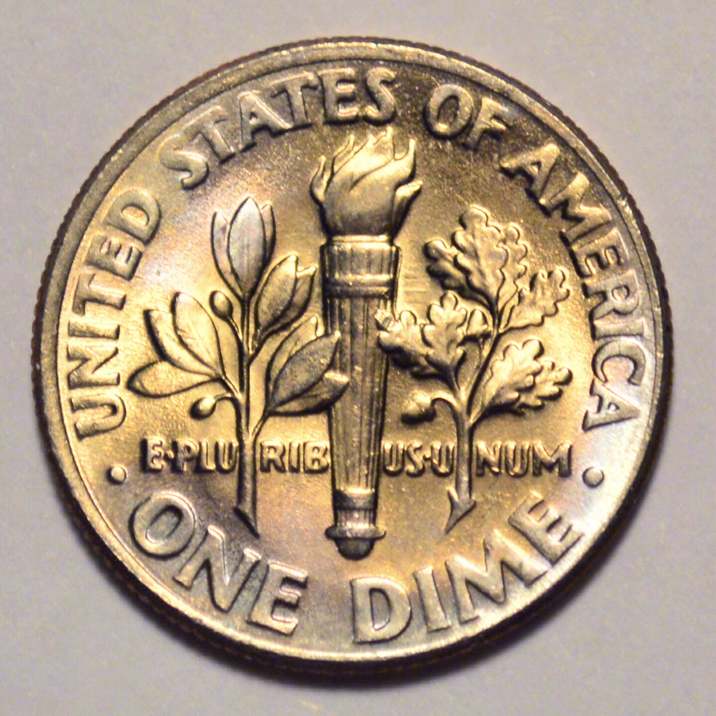 CSC_4175.JPG