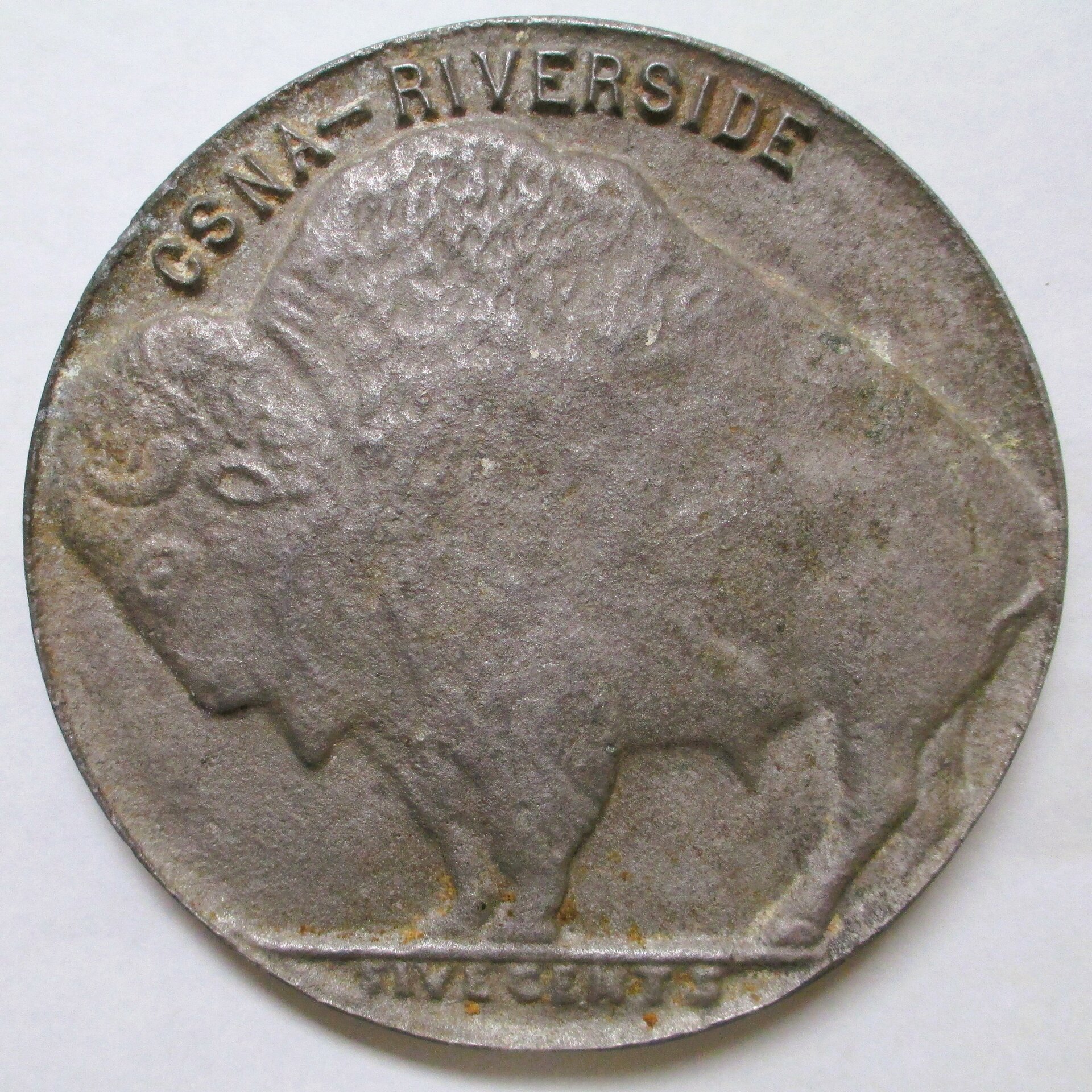 CSNA 2 (5 Inches).JPG