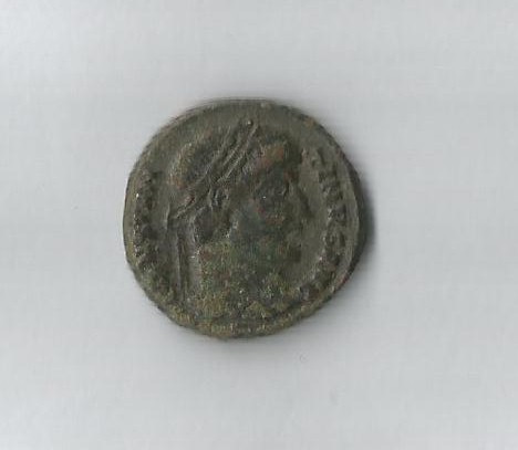 Cstnus TEs.jpg