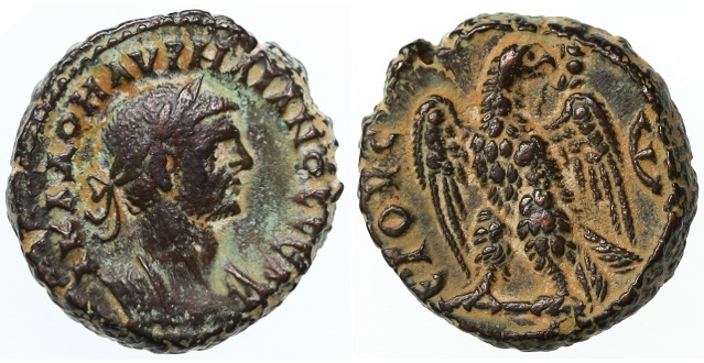 CT-aureliantet2.jpg