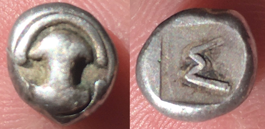 CT-Kiwiti-BoeotiaObol.jpg
