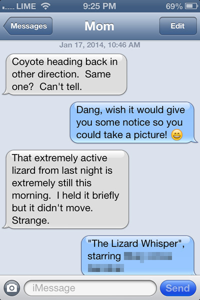 CT-LizardText1.jpg