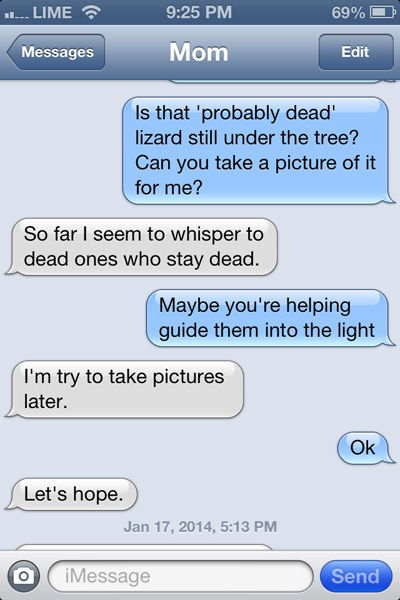 CT-LizardText2.jpg