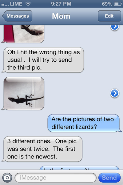 CT-LizardText4.jpg