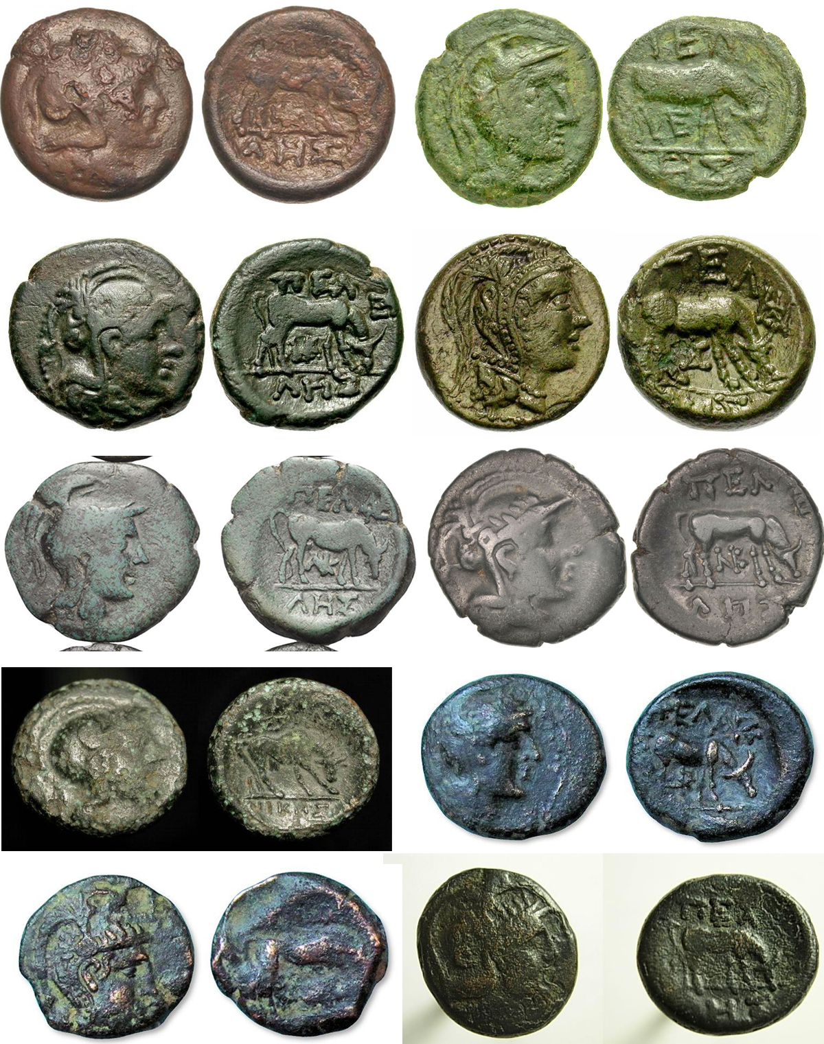 CT-MacedonPellaAthenaBullAE_edited-1.jpg