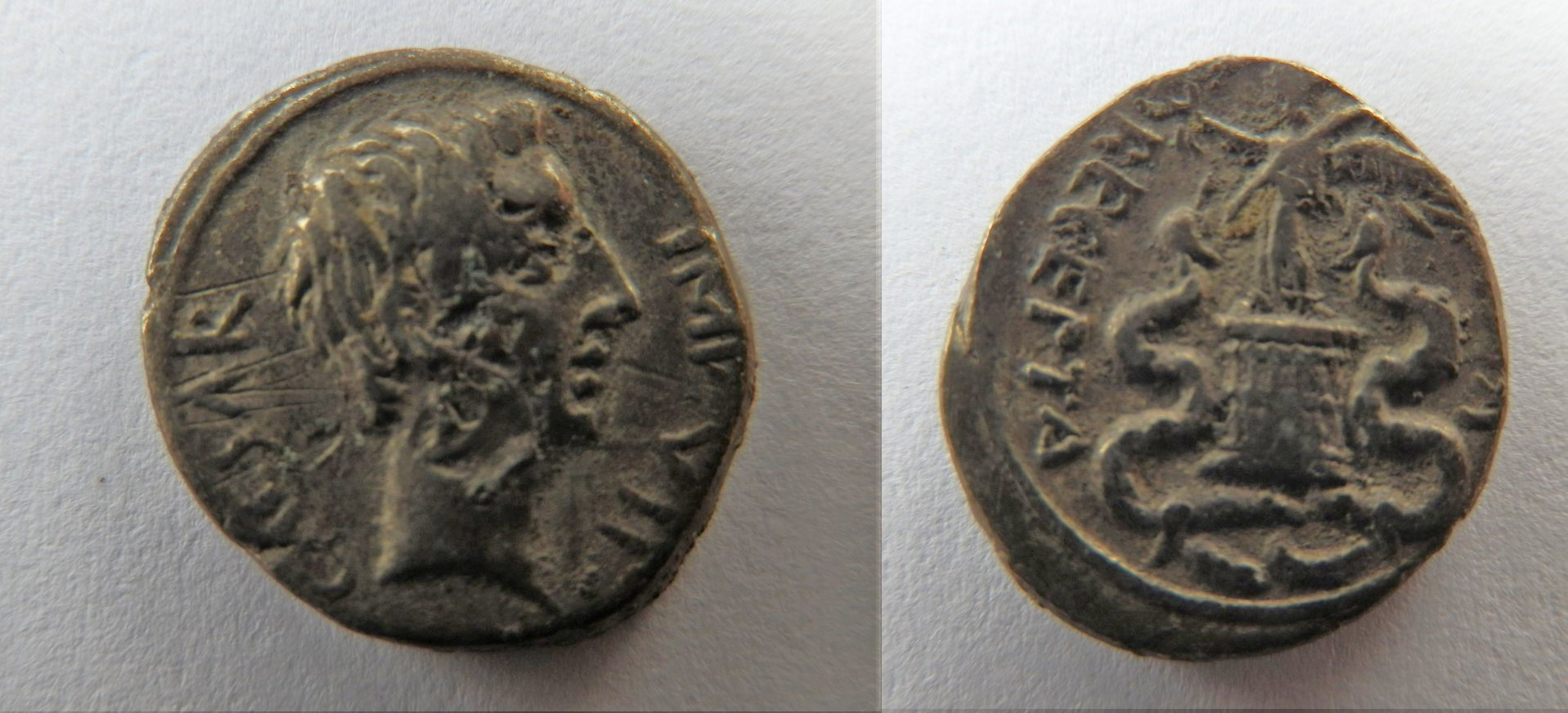 CT-OrfewQuinarius.jpg