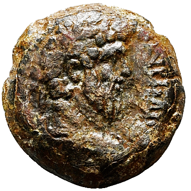 CT-PellinoreSeptimius-LV-or-MA-OverlayGIF.gif