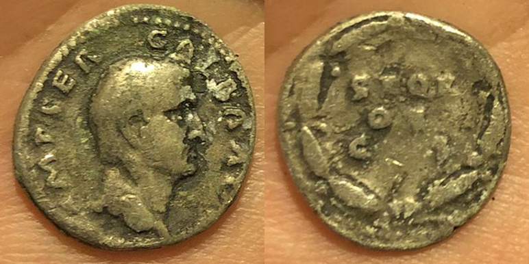 CT-SIASL-FakeGalbaDenarius.jpg