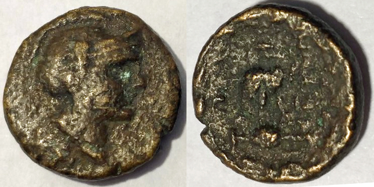 CT-Xodus-AEAthenaOwlAmphora.jpg