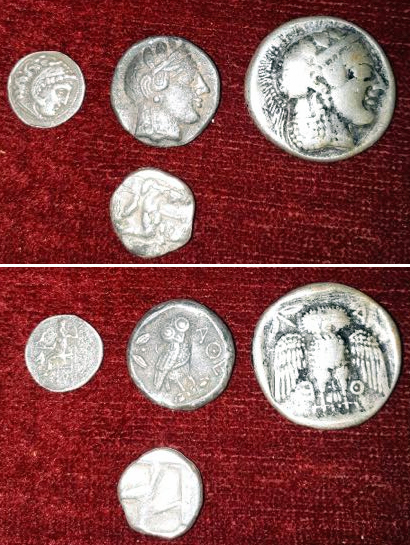 CT-Zeytin-Fakes.jpg