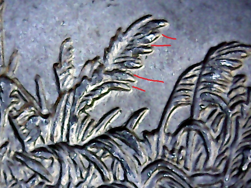 ct1-12-bh-5-5.jpg