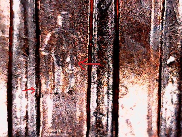 ct3-6-9.jpg
