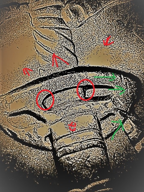 ct5-22-9 (2)-1-2.jpg