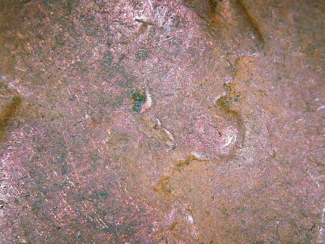 CUD02.jpg