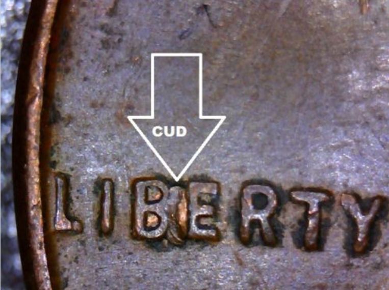 cud1.JPG