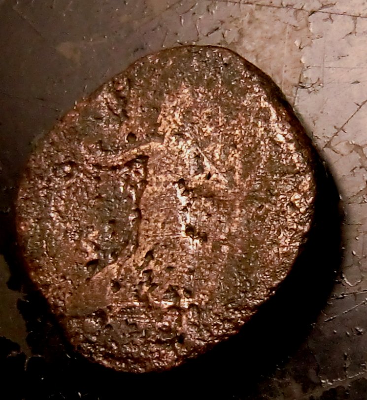 cullbackCimg4197.jpg