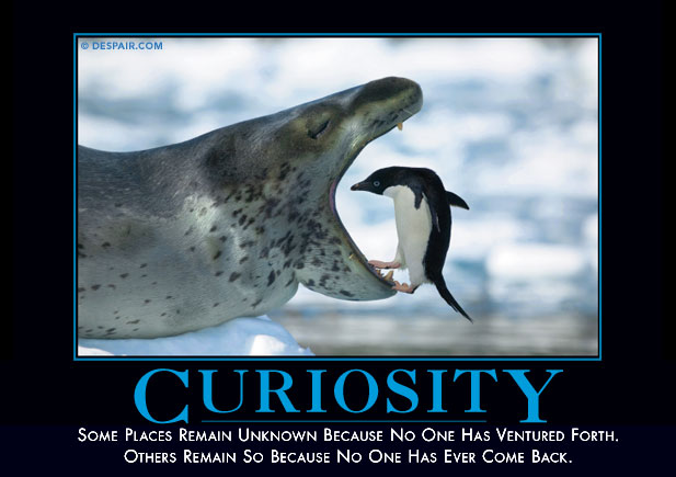 curiosity1.jpg