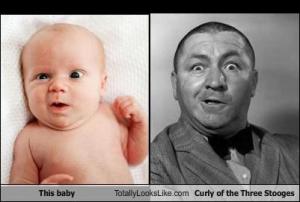 Curly - baby - adult.jpg