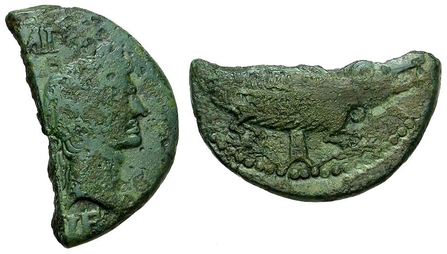 cut Nimes crocodile and Augustus Roman Lode 3.30.19.jpg