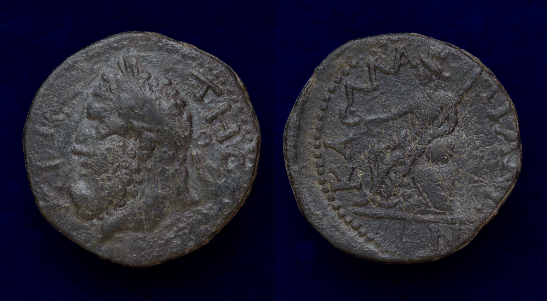 Cybele Timpanus Kallatis.jpg