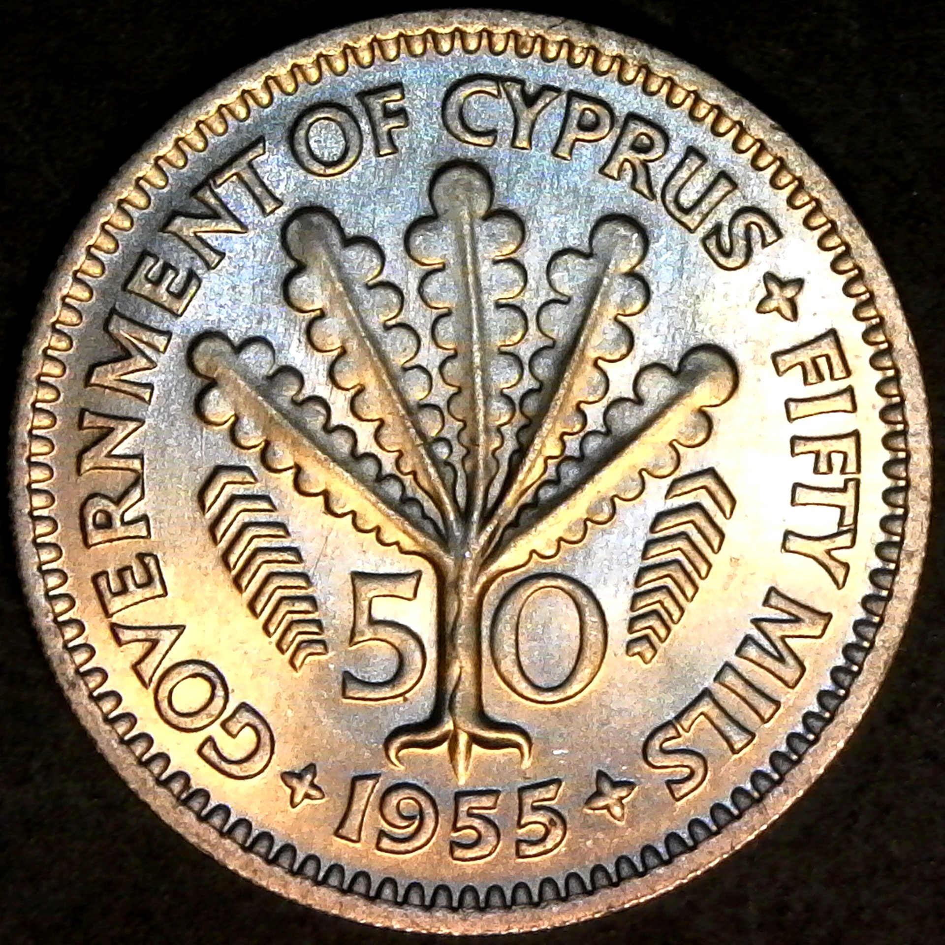 Cyprus 50 mils 1955 rev.jpg
