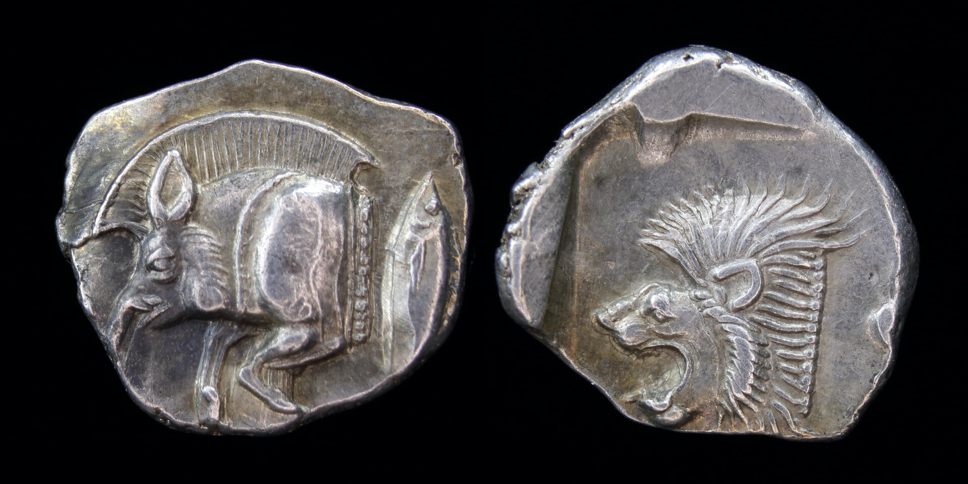 cyzicus obol.jpg