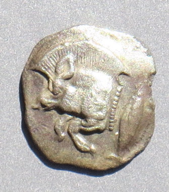 CyzicusLion70o.JPG