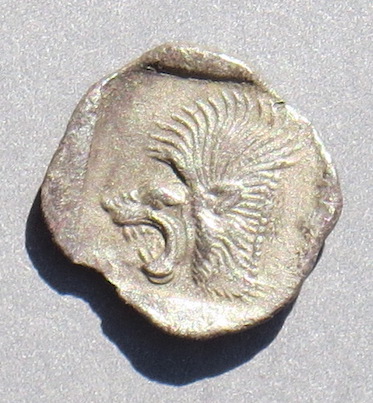 CyzicusLion70r.JPG
