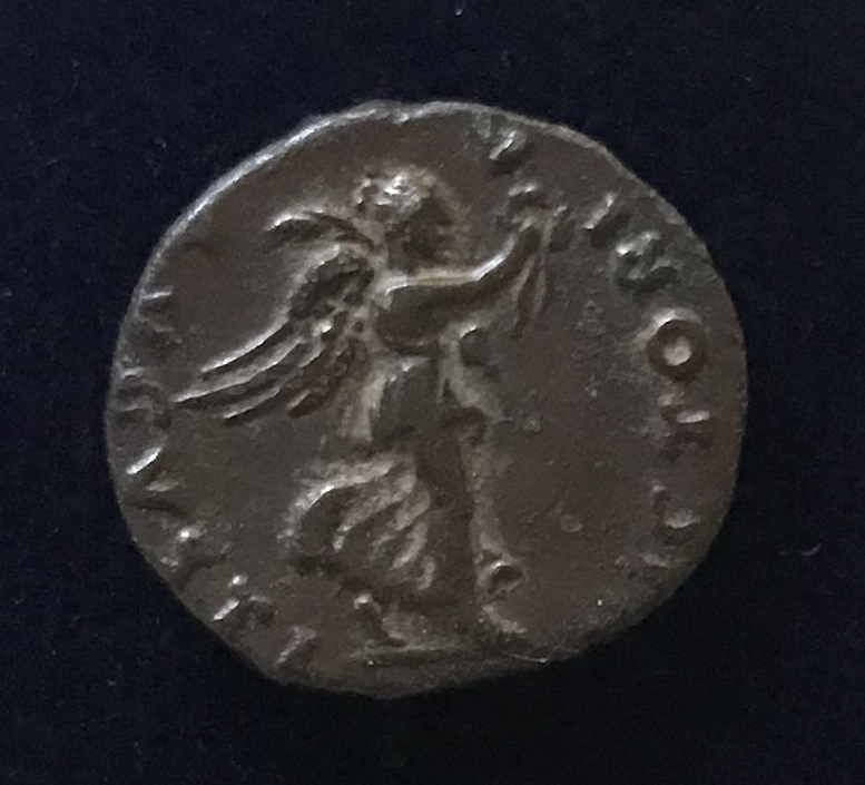 D 560 VESP rev.jpg