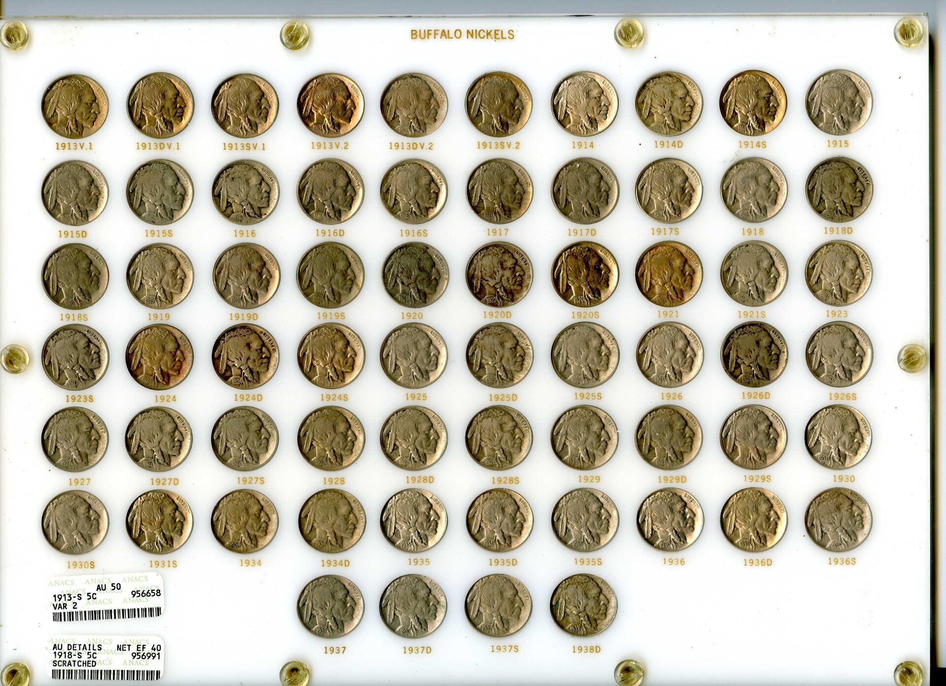 D Buffalo Set Obv.jpg