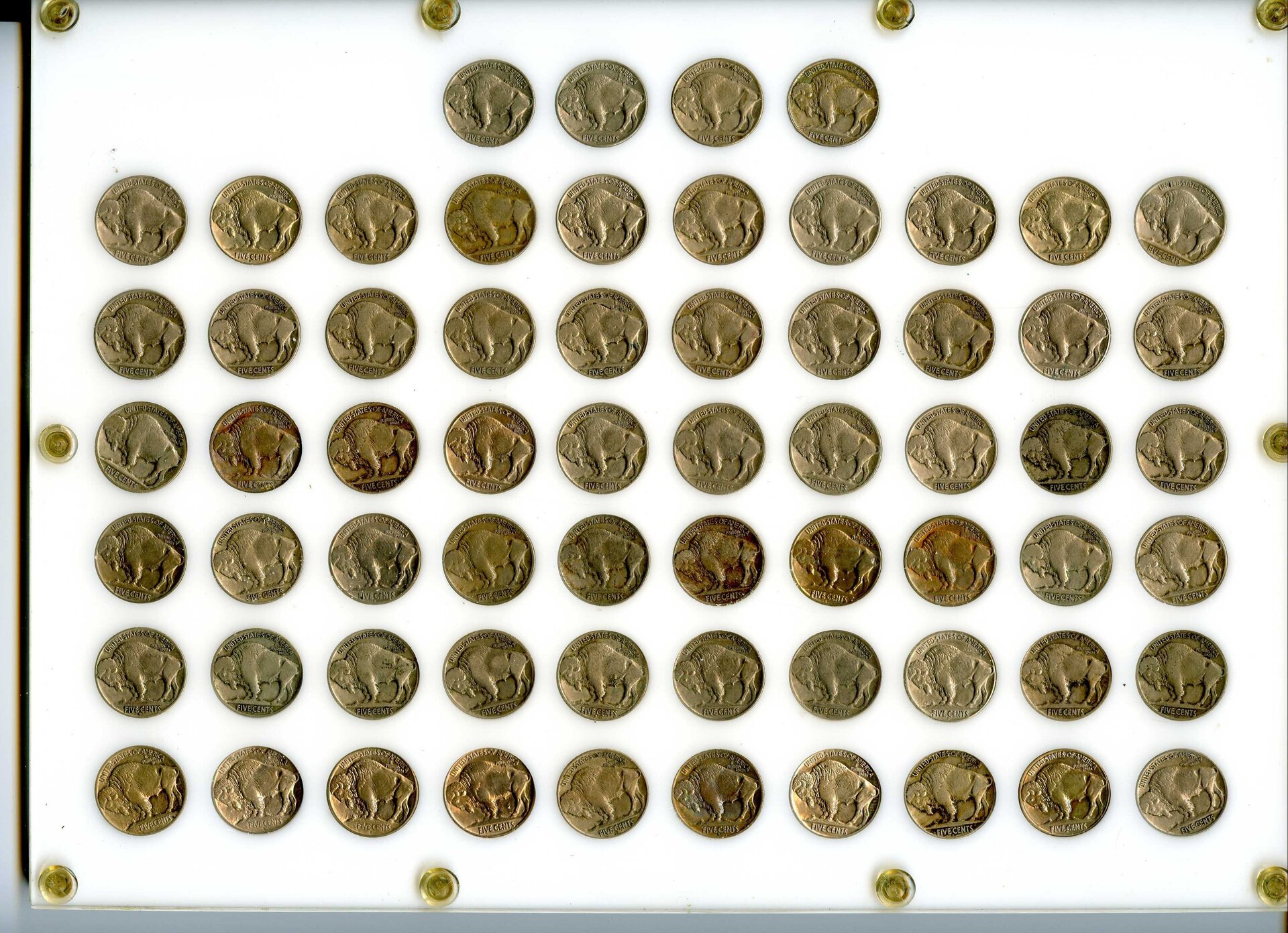 D Buffalo Set Rev.jpg