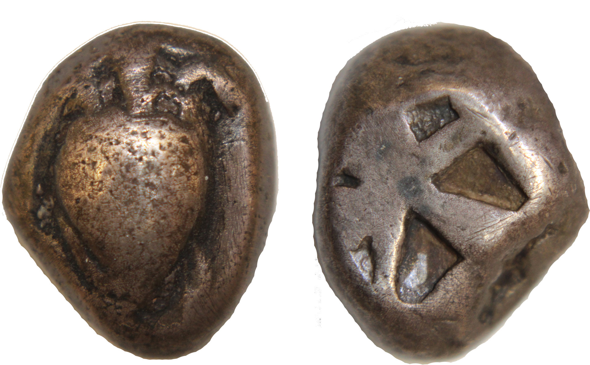 D-Camera Aegina Stater, ca. 485-480 BC, 12.0 grams,  5-24-20.jpg