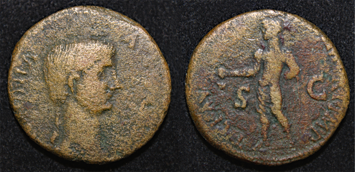 D-Camera Antonia dupondius 9.01g Sal 5-1-22.jpg