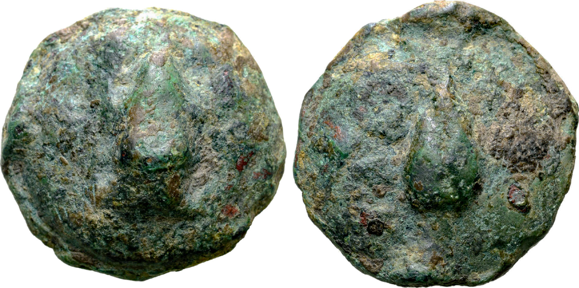 D-Camera Apulia, Luceria Æ Uncia. C. 225-217 BC. Frog, Corn-ear; • in field, 30 mm 45.7g 1-31-21.jpg