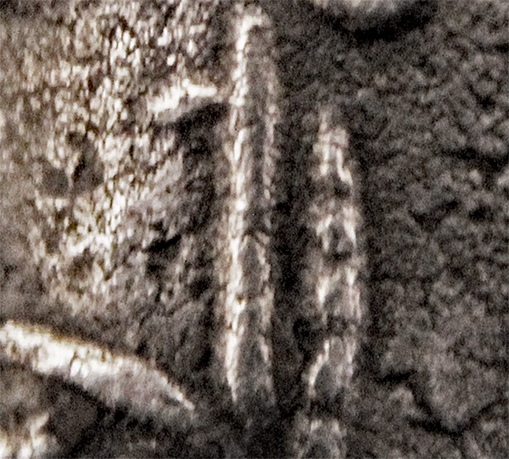 D-Camera Athens, Egypt or Eastern imitation tetradrachm, detail, 12-31-20.jpg