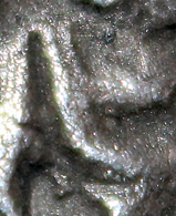 D-Camera Athens pharaonic owl c late 5th-mid 4th cen beth cm detail 4-13-24.jpg