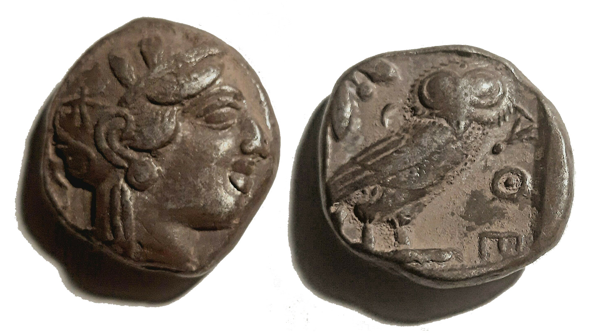 D-Camera Athens Philistia owl, dealer's photo, 16.8 grams 8-23-21.jpg
