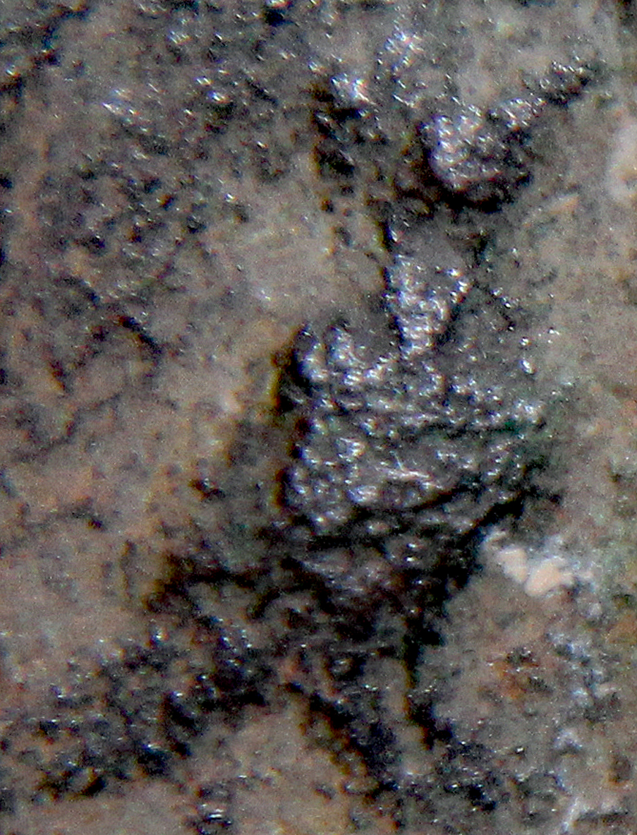 D-Camera Byzantine Arab imitation follis seated caliph More hawk detail 10-26-21.jpg