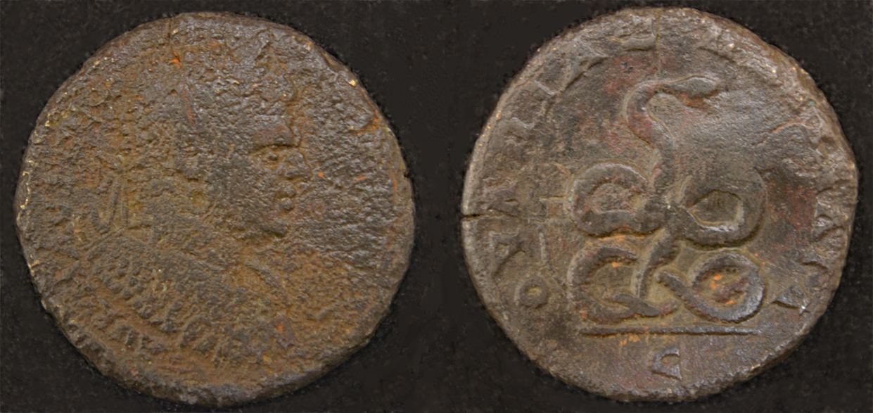 D-Camera Caracalla AE 28 possibly Pautulia 196-217AD 15.30g Sal 5-1-22.jpg