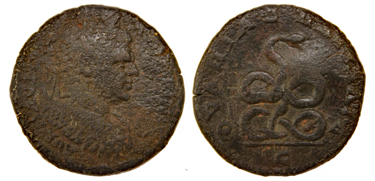 D-Camera Caracalla AE 28 possibly Pautulia 196-217AD 15.30g Sal 5-1-22.jpg