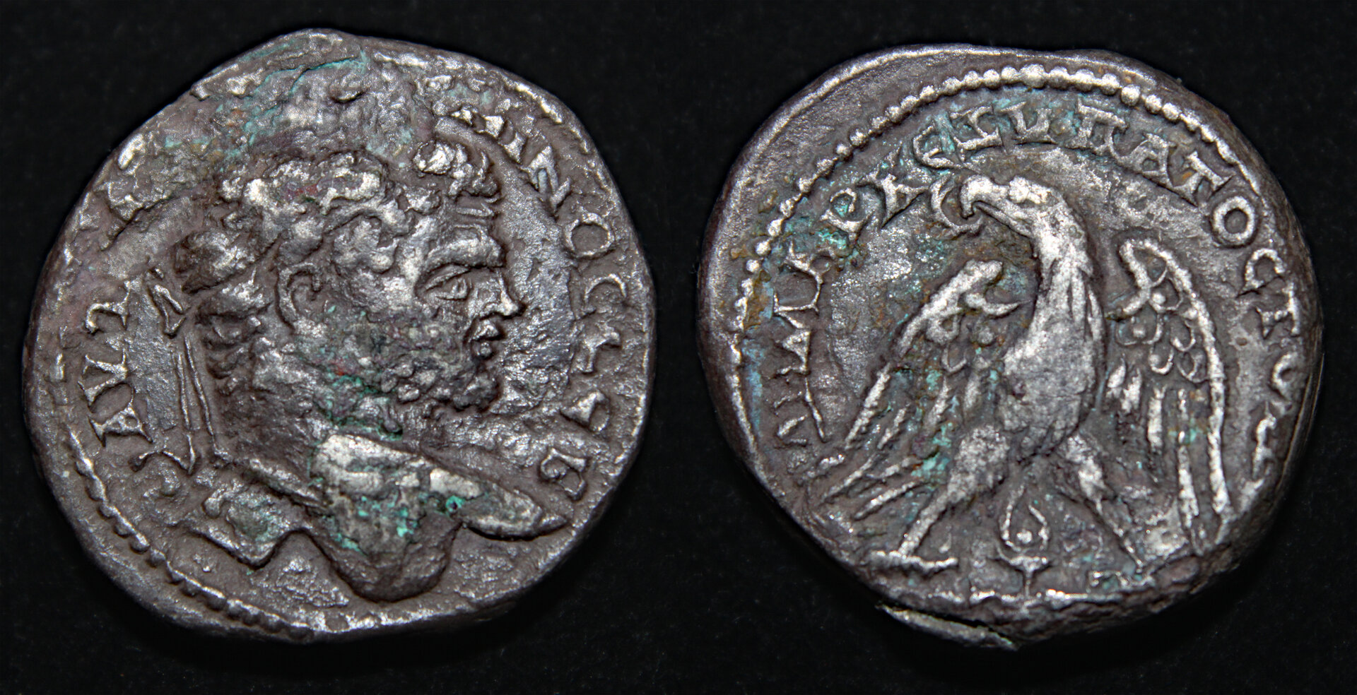 D-Camera Caracalla Bi tetradrachm, Tyre, reshoot, Hercules hair style 11.35 g eBay 2018 10-31-21.jpg