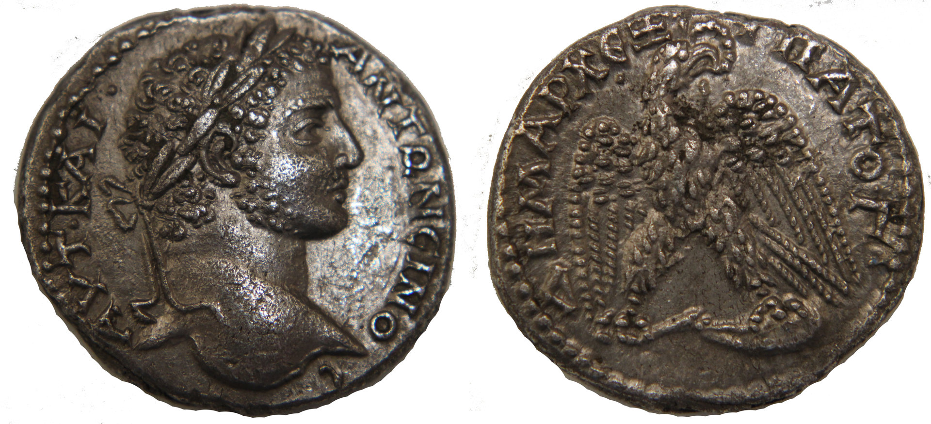 D-Camera CaracallaI tetradrachm, youthful portrait, Antioch, 5-3-20.jpg