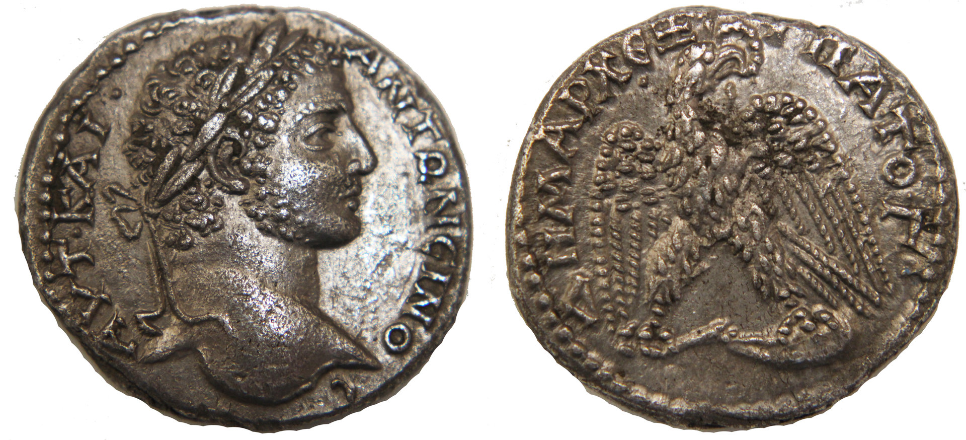 D-Camera CaracallaI tetradrachm, youthful portrait, Antioch, 5-3-20.jpg