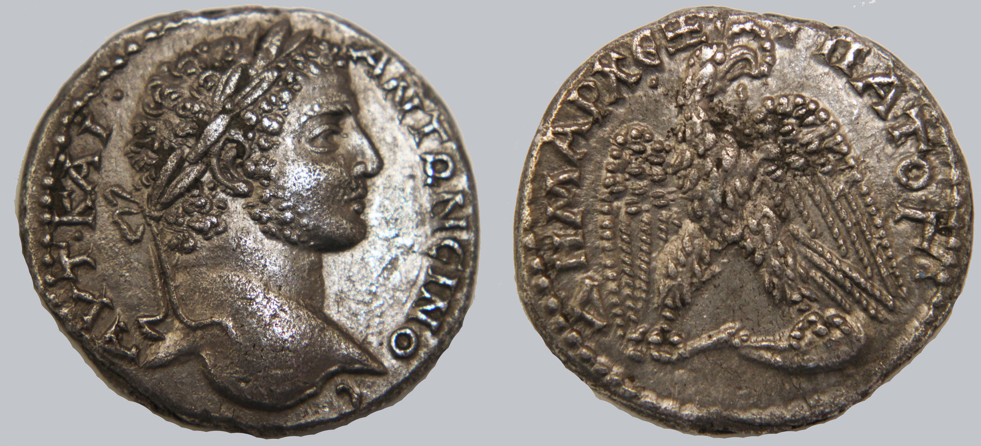 D-Camera CaracallaI tetradrachm, youthful portrait, Antioch, 5-3-20.jpg