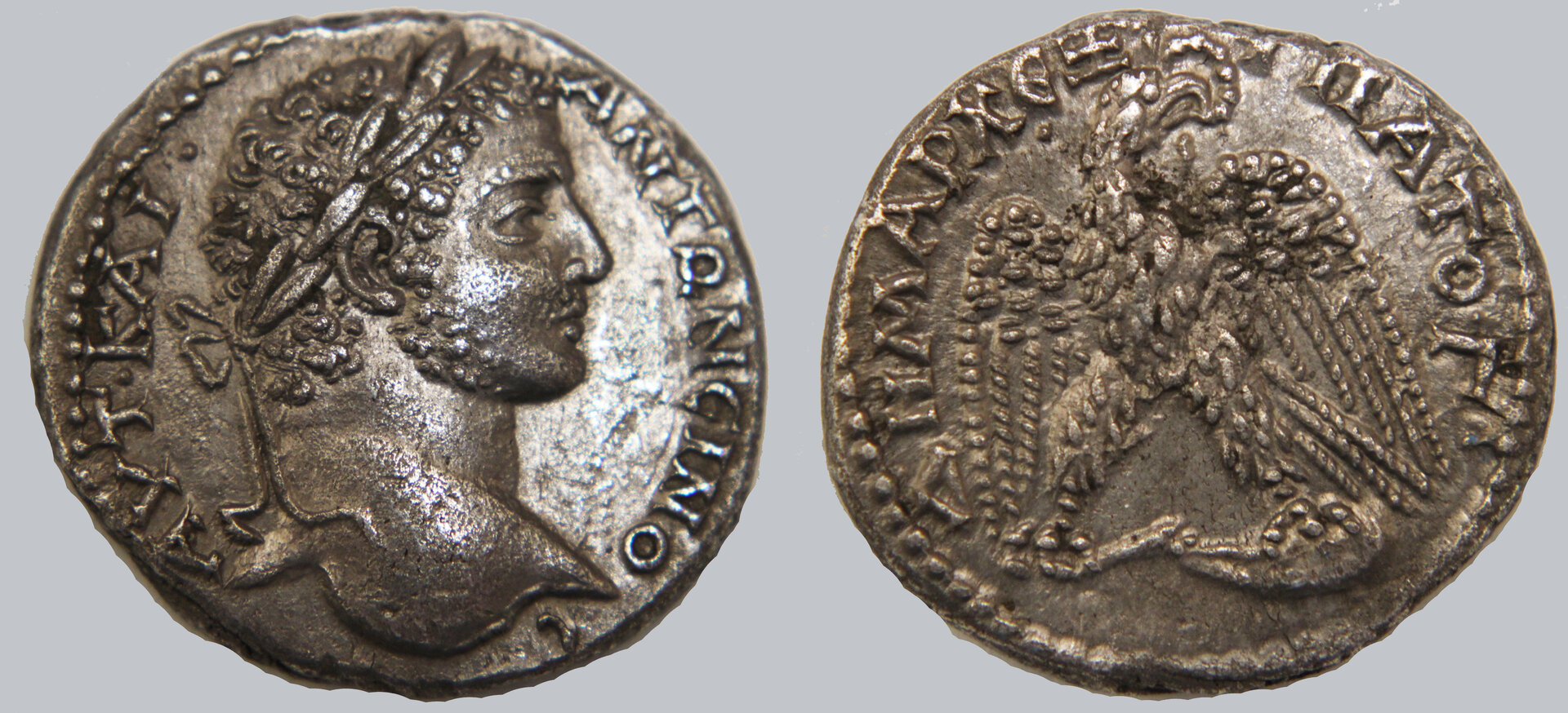 D-Camera CaracallaI tetradrachm, youthful portrait, Antioch, 5-3-20.jpg