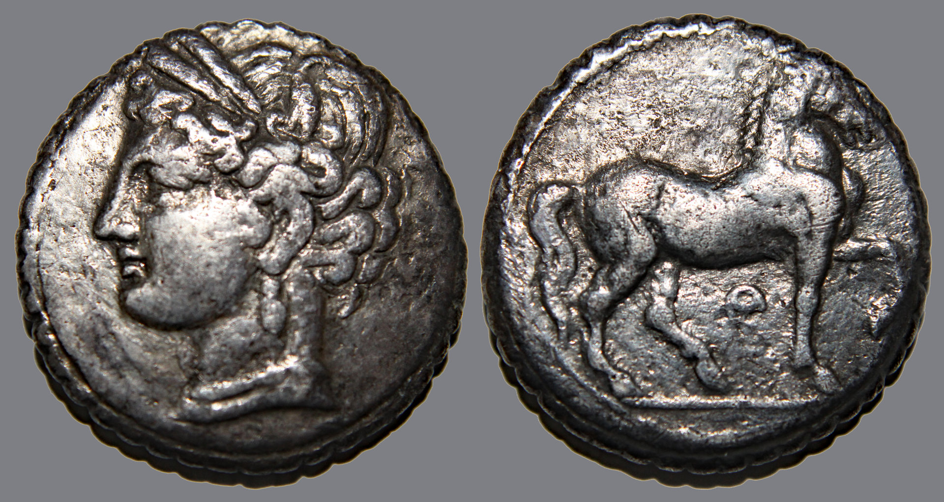 D-Camera Carthage, BI serrate dishekel, 160-149 BC, 12.80 g. Roma 69 11-29-20.jpg