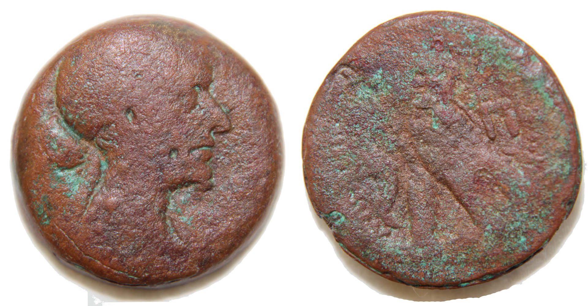 D-Camera Cleopatra VII, 80 Drachma, After cleaning and Renwax treatment, 7-2-20.jpg