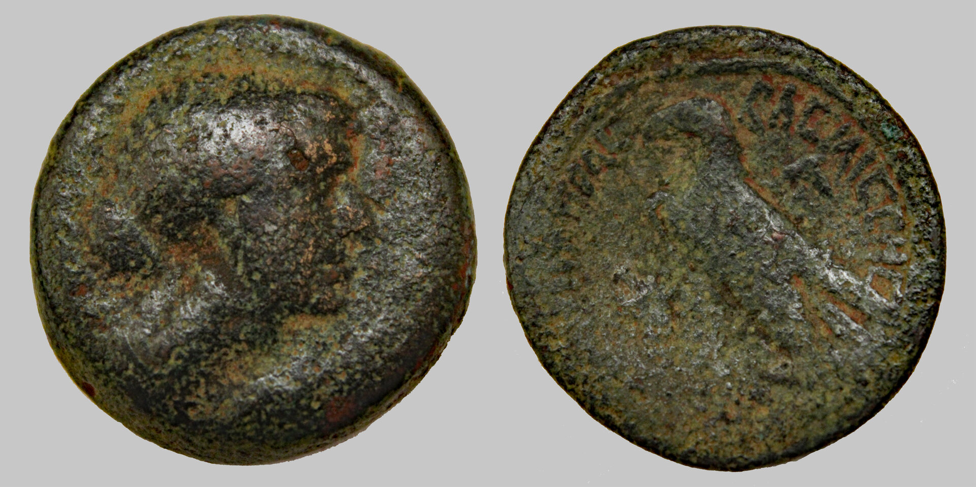 D-Camera Cleopatra VII AE 80 drachmae, best example 17.4 grams sear 1871 8-8-21.jpg